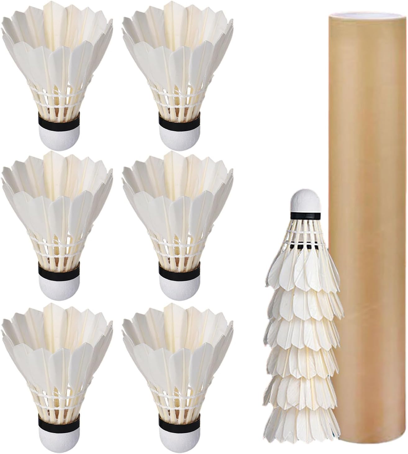 12-Pack High-Speed Training Shuttlecocks